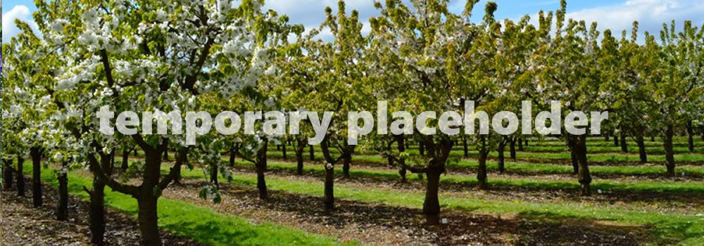 infanta forest land use plan banner