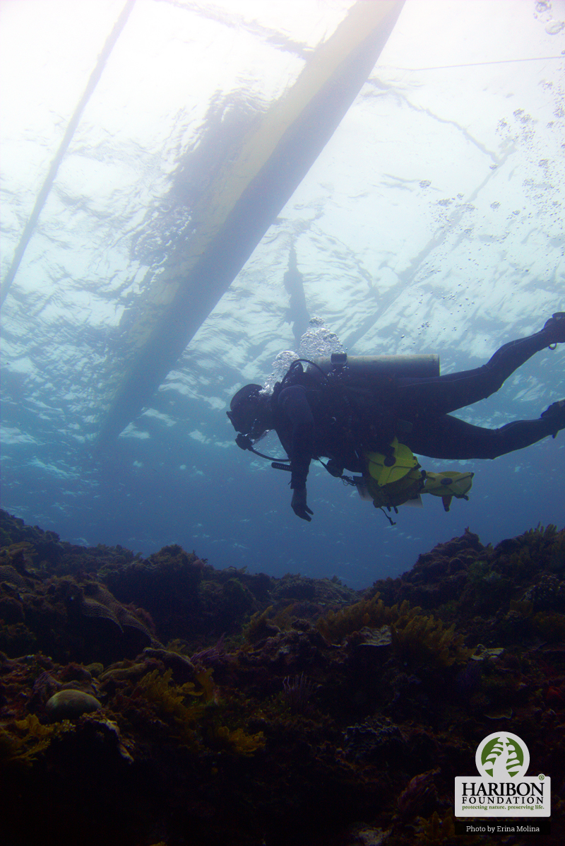 06072016 Under the sea view from below by Erina Molina