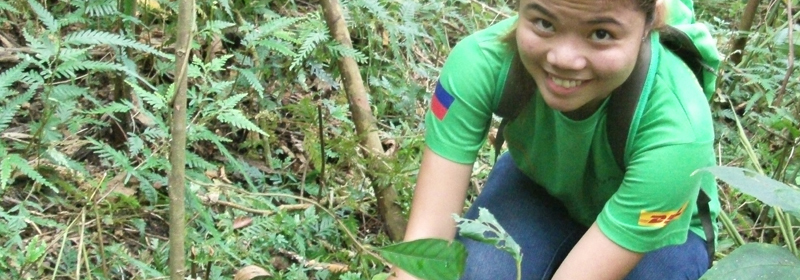 06072016 plant a tree seedling