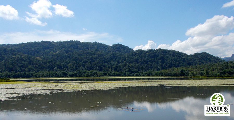 2016 09 29 Mt. Siburan an Important Biodiversity Area hosts high level of birds and other life forms including the Mindoro Bleeding Heart