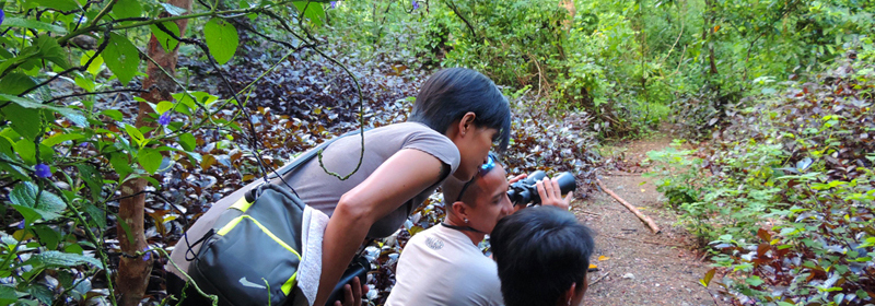 2016 10 06 thumb birdwatchers