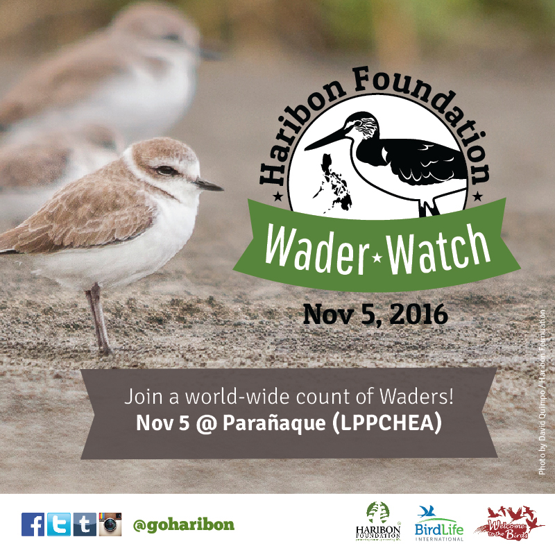 2016 10 27 Nature lovers young and old are called to help count migratory birds in Manila Bay on November 5