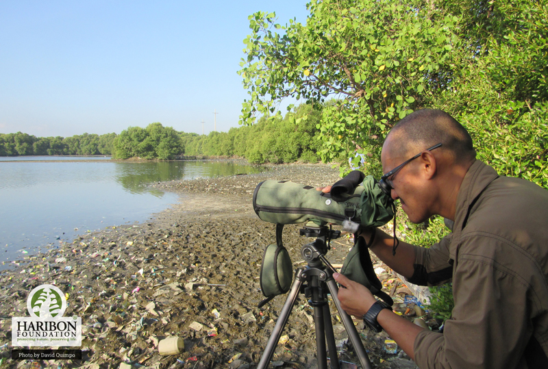 2016 10 27 Wildlife researcher David Quimpo will guide participants as they count wader birds in one of Manila Bays last remaining mangrove habitats on November 5