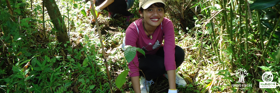 2018 07 19 Tree planting volunteer