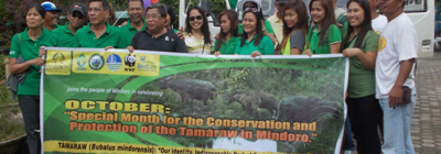 4 pillars conserving sites bpp thumbnail