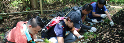 4 pillars conserving sites buhay punlaan thumbnail