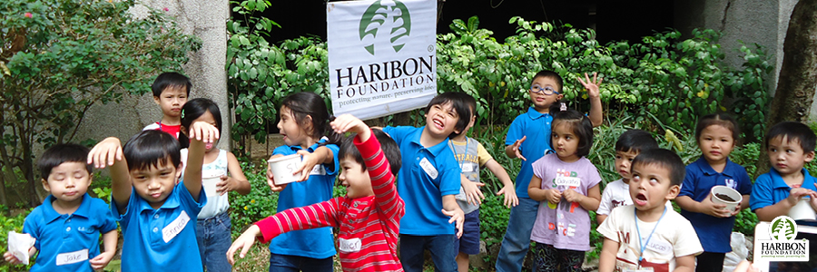 4 pillars empowering people outdoor playschool header image