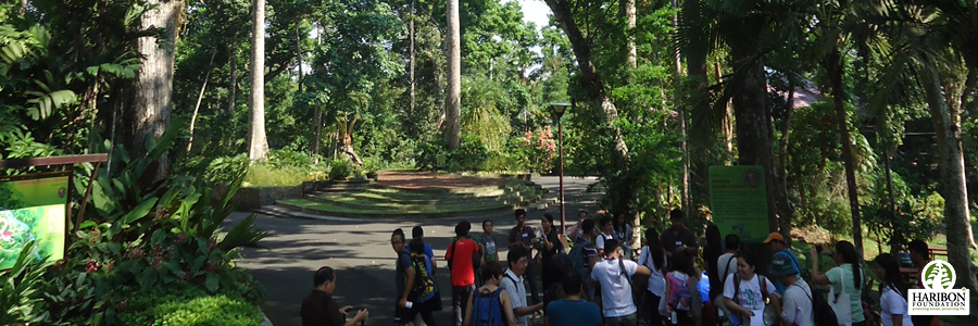4 pillars empowering people rainforestation initiative rfri header image
