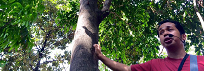 4 pillars empowering people tree trek tag thumb