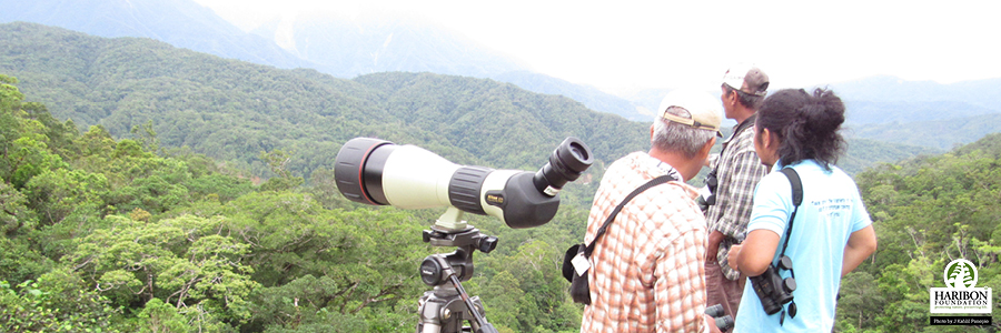 4 pillars saving species philippine eagle project header image