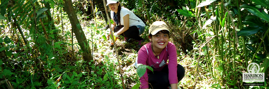 Tree Planting