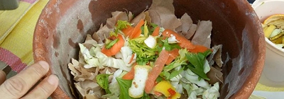 2017 05 14 compost thumb