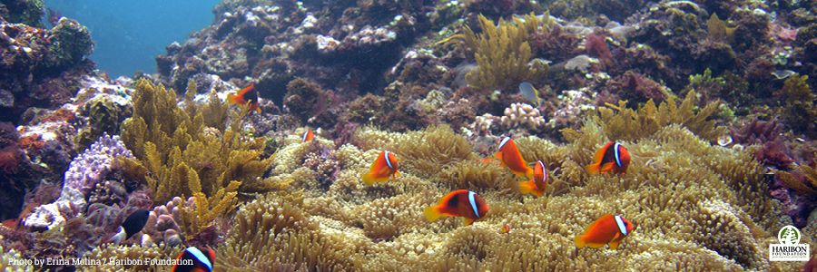 2017 06 09 nickelodeon statement2