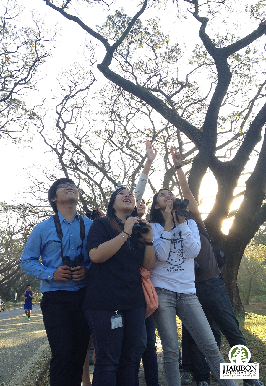 2017 06 15 birdwatching at up diliman